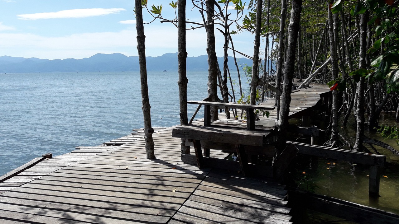 Photo of Others in Trat