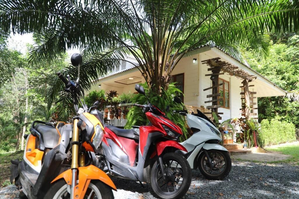 Photo of Outdoor in Ko Kood