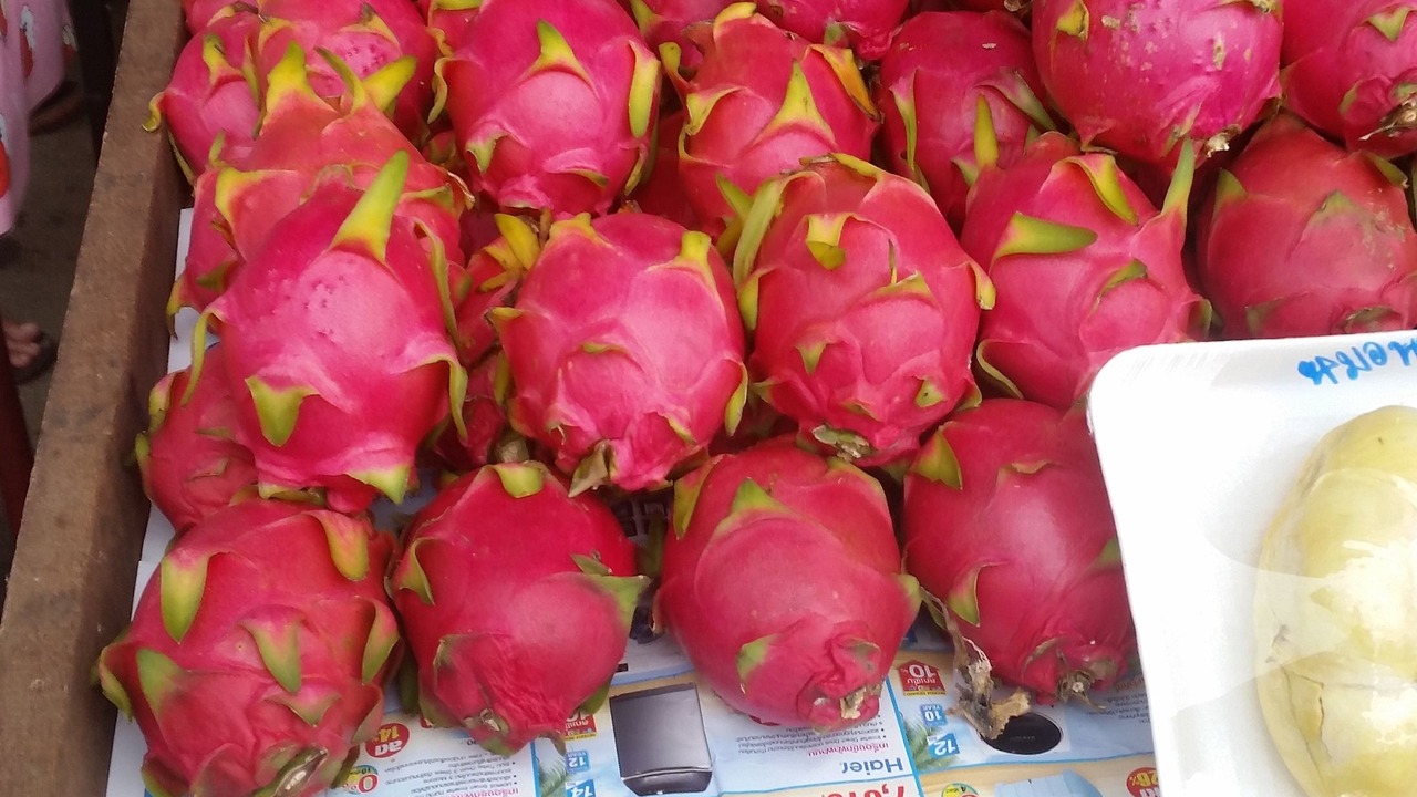 Photo of Others in Khua Mung