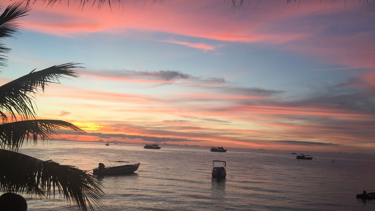 Photo of Others in Koh Tao