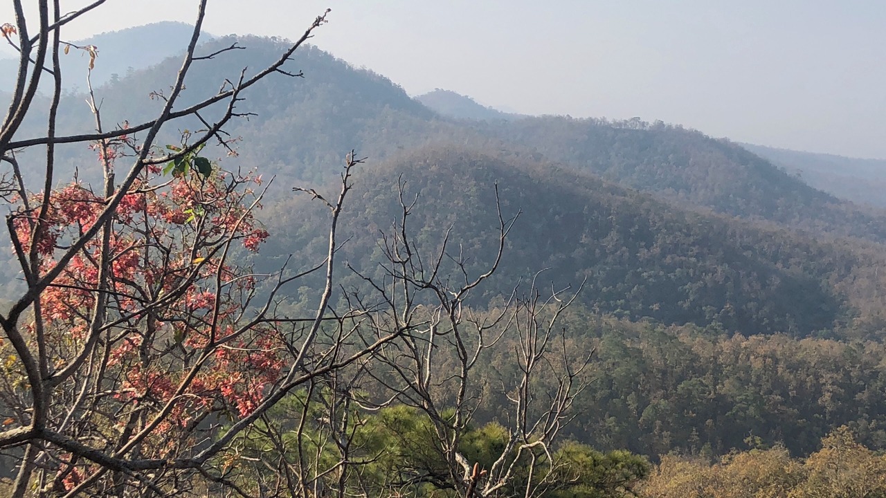 Photo of Outdoor in Khun Yuam