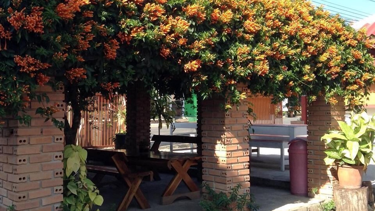 Photo of Patio Balcony in Khun Yuam