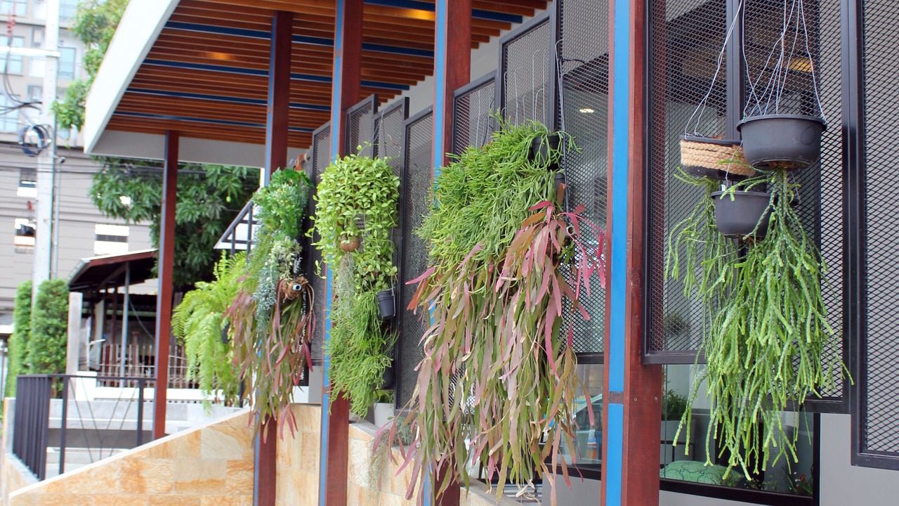 Photo of Outdoor in Bang Lamphu Lang
