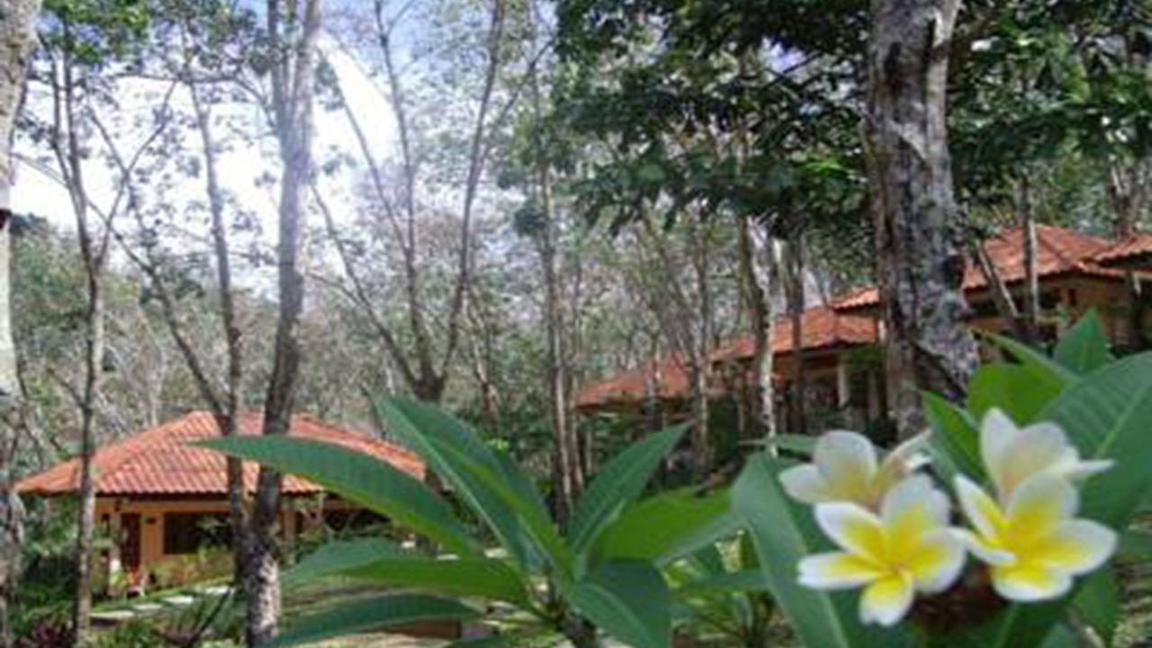 Photo of Outdoor in Ko Mook