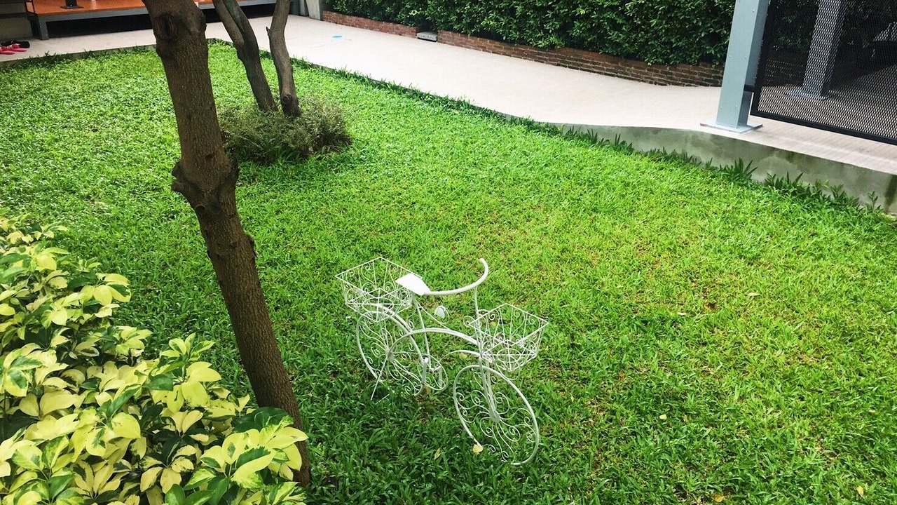 Photo of Outdoor in Rangsit