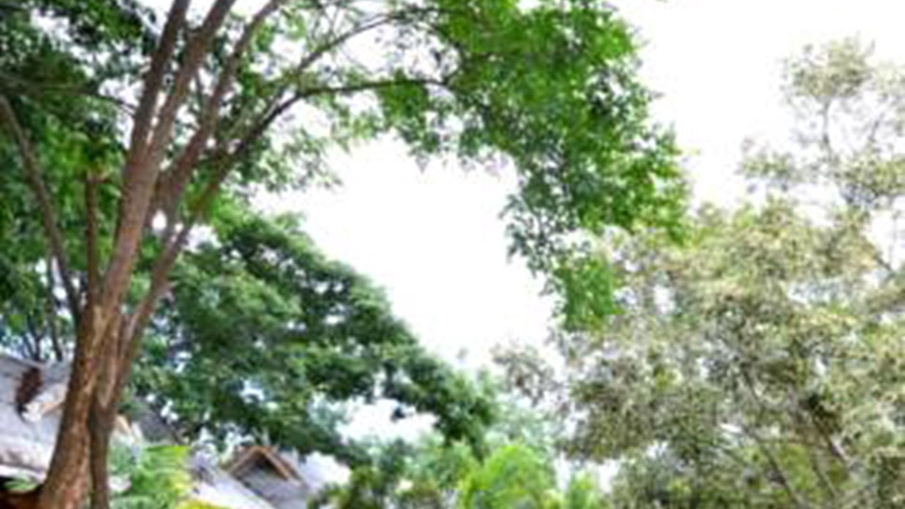 Photo of Outdoor in Mueang Nga