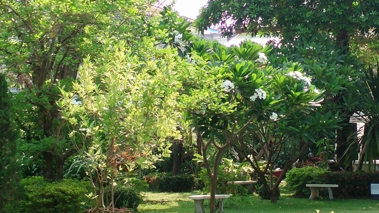 Photo of Outdoor in Wang Phinphat