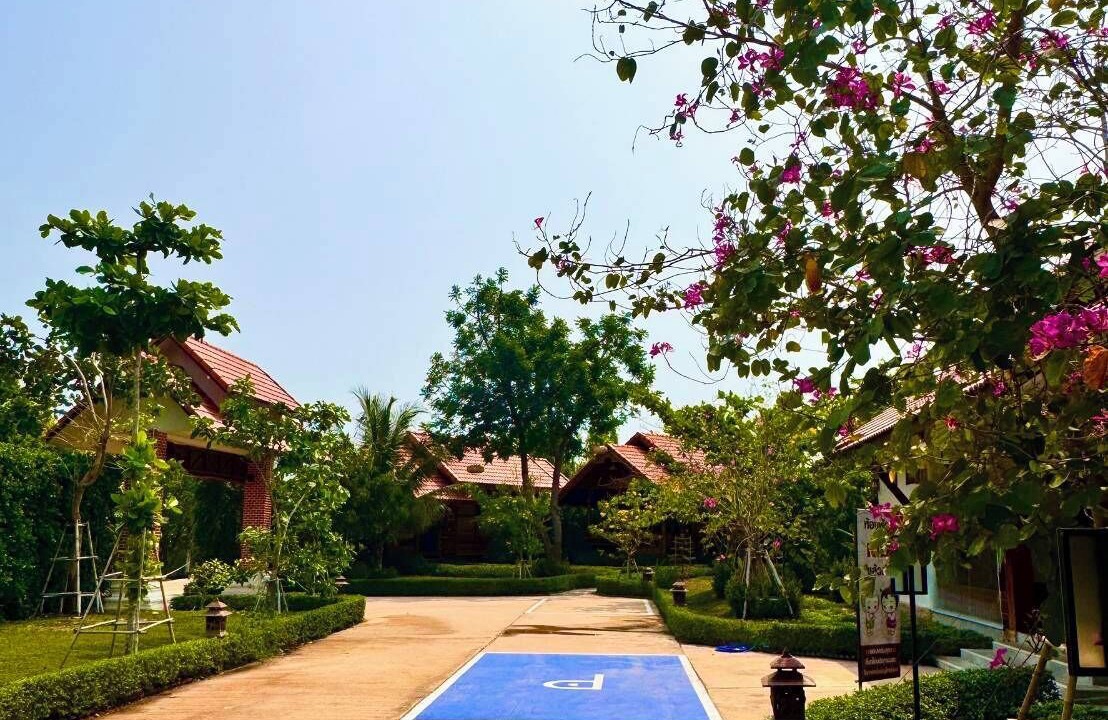 Photo of Outdoor in Sila
