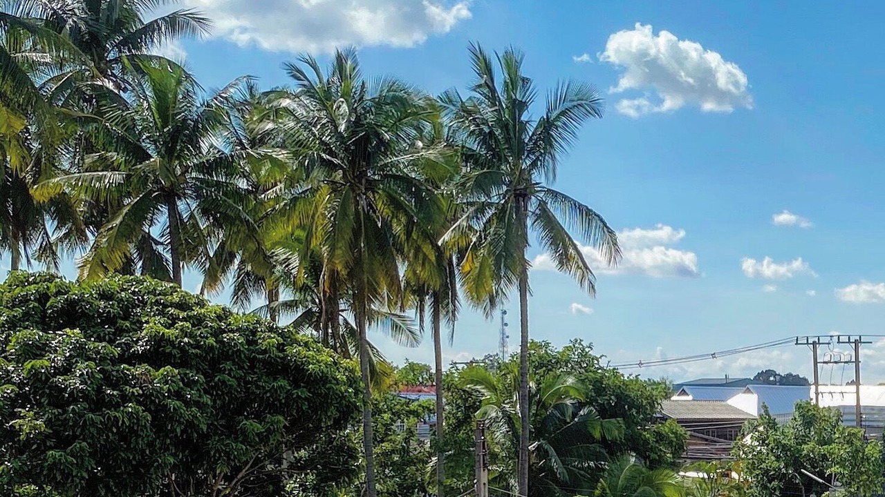Photo of Outdoor in Nai Mueang