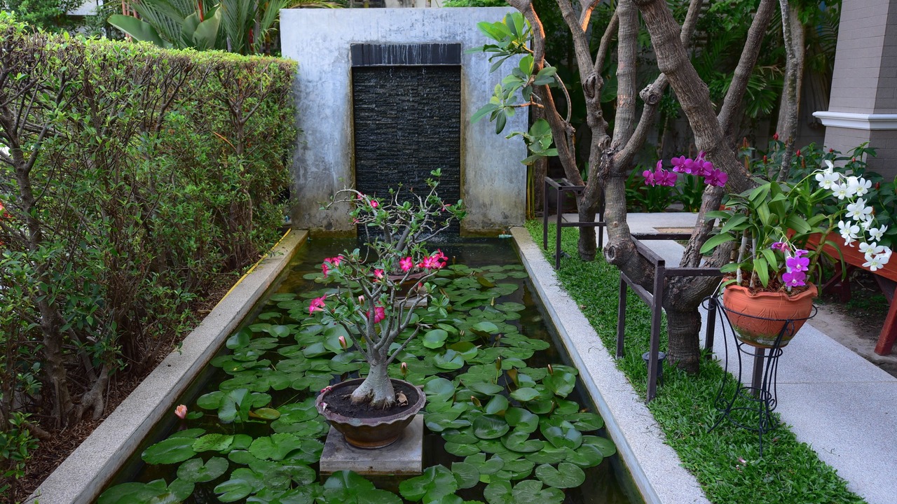 Photo of Others in Chaeramae