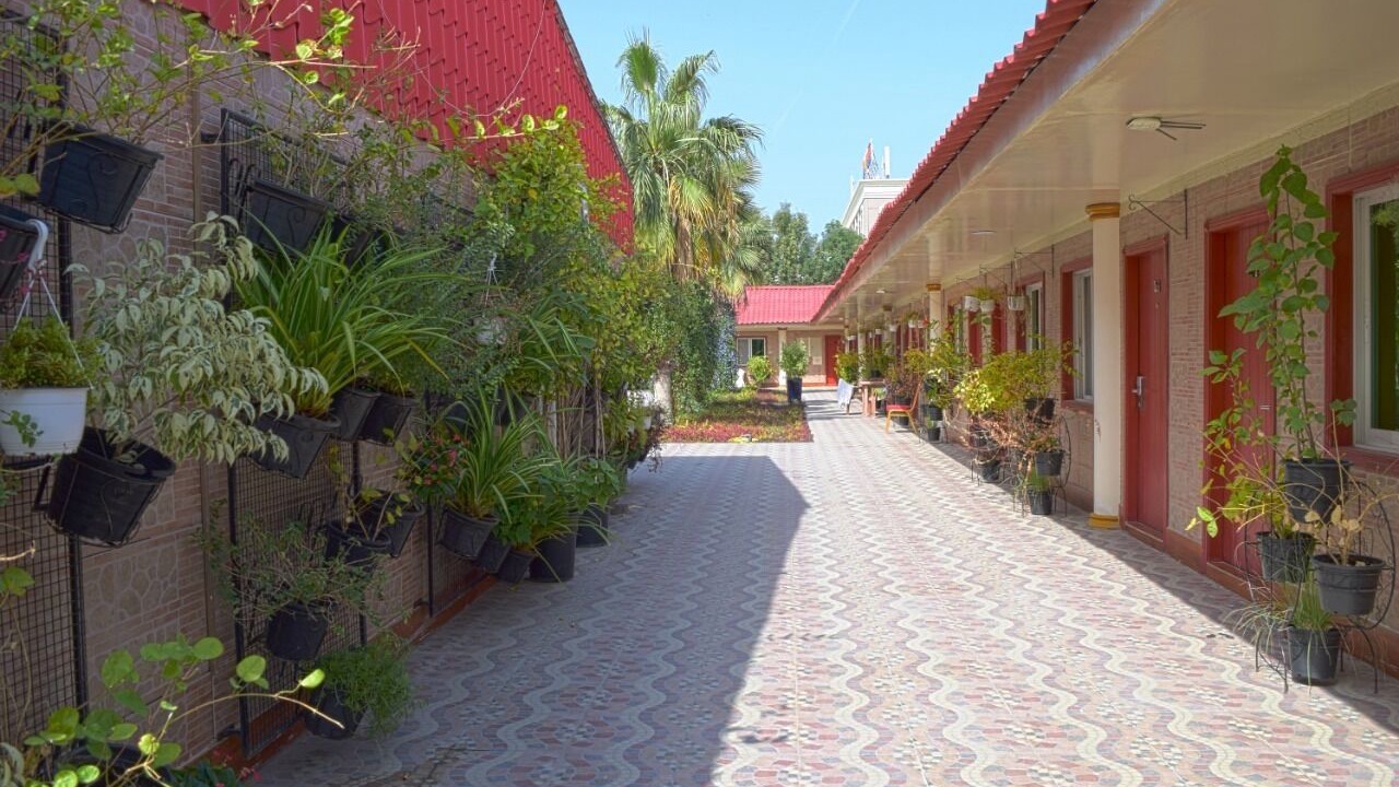 Photo of Outdoor in Beach & Coast