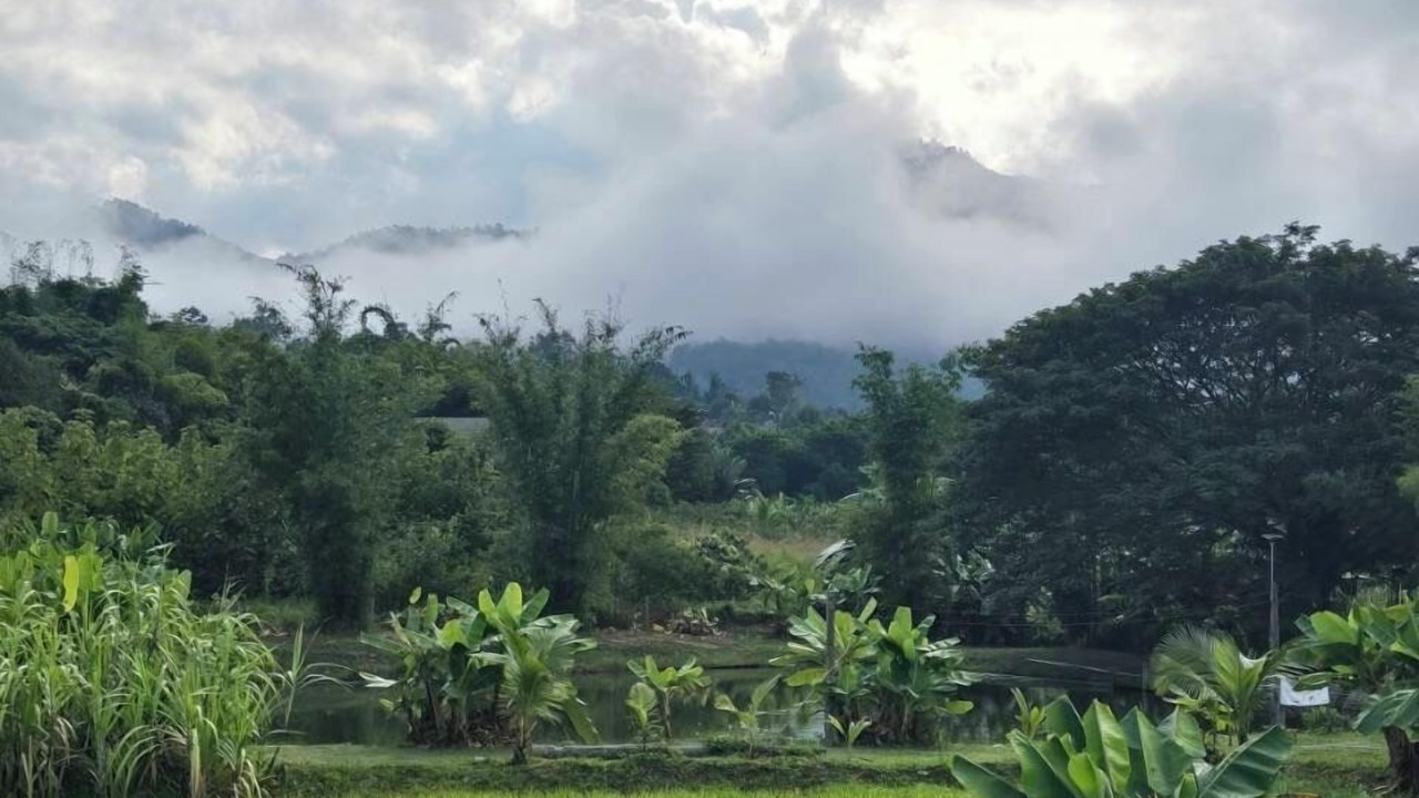 Photo of Outdoor in Pai