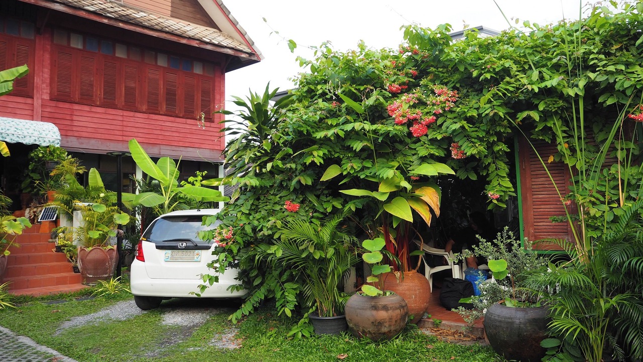 Photo of Outdoor in Dusit