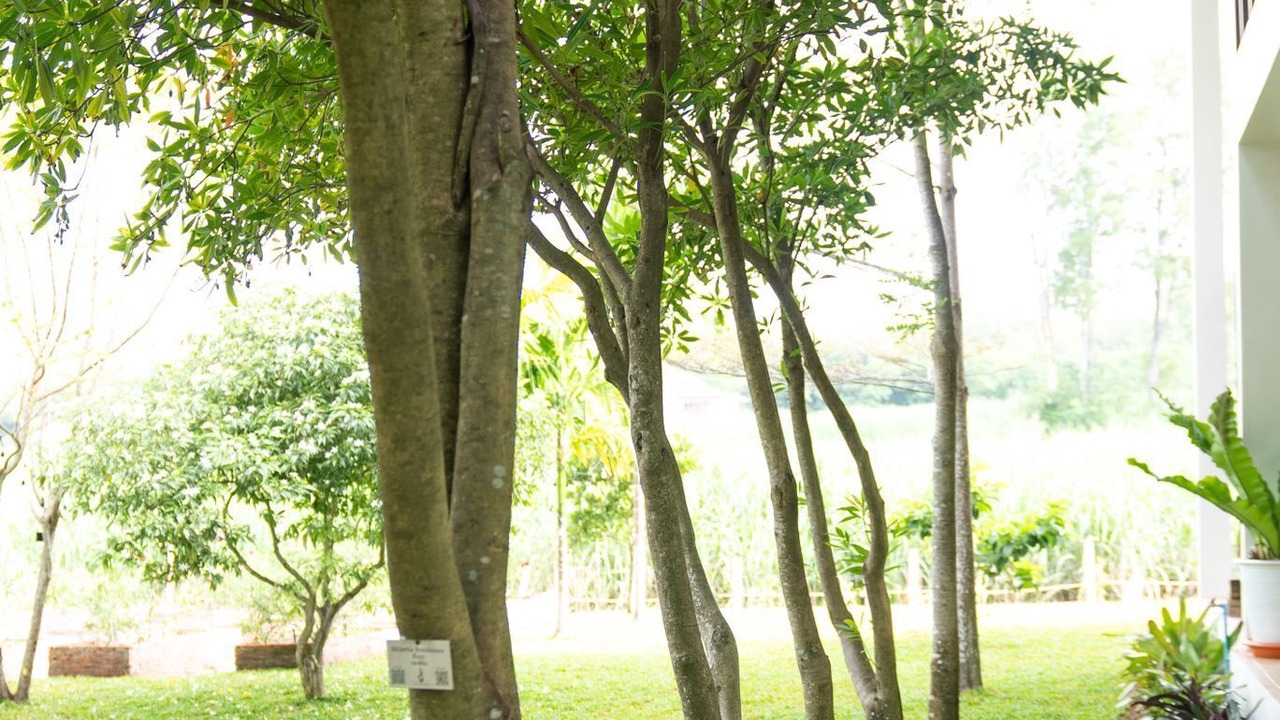 Photo of Outdoor in Nong Sarai