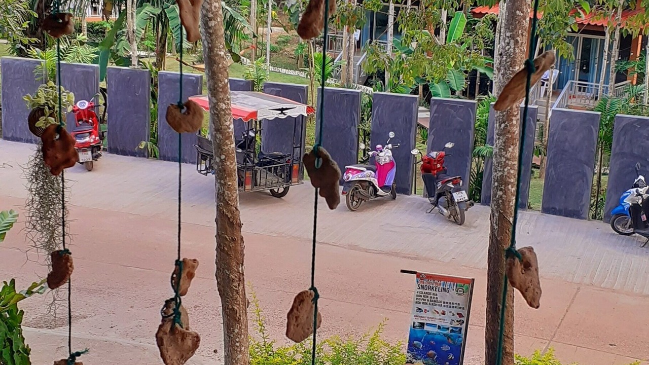 Photo of Outdoor in Ko Lanta