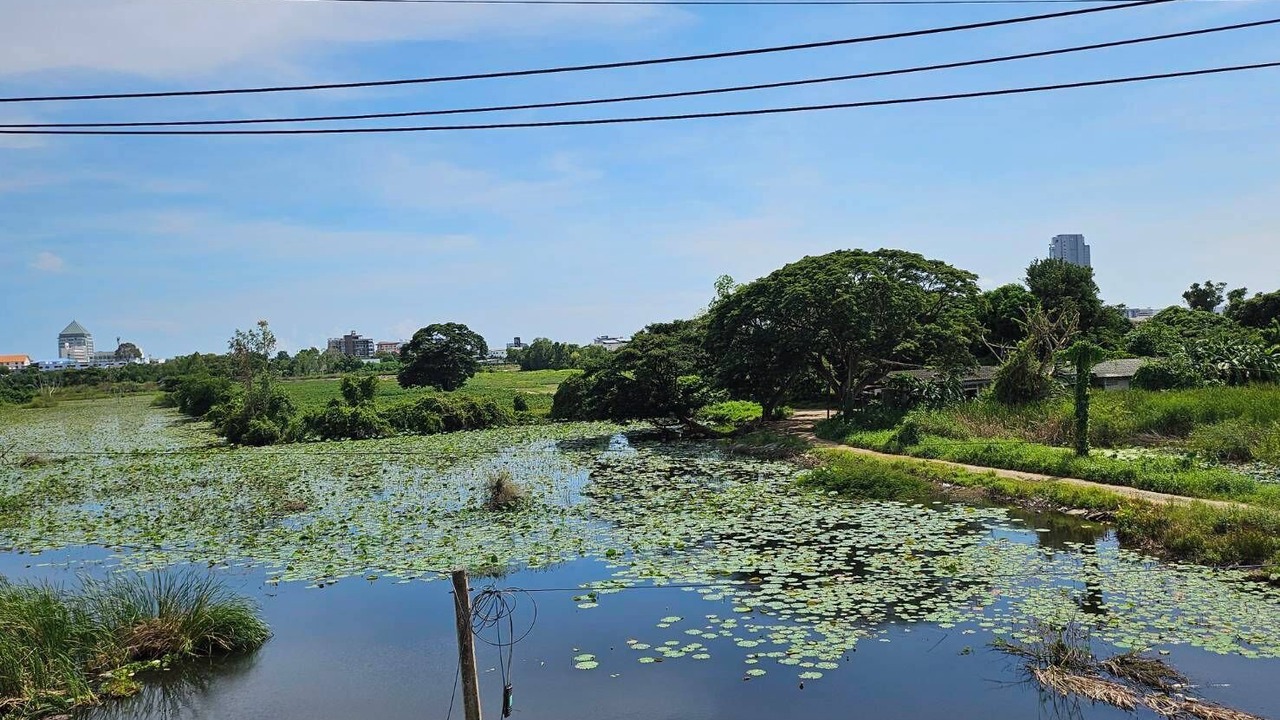 Photo of Others in Rayong