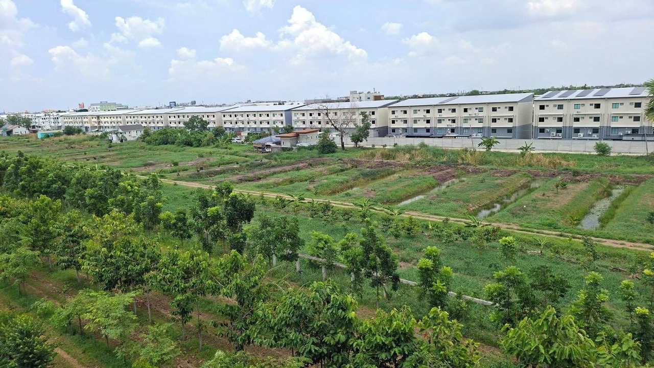 Photo of Outdoor in Rangsit