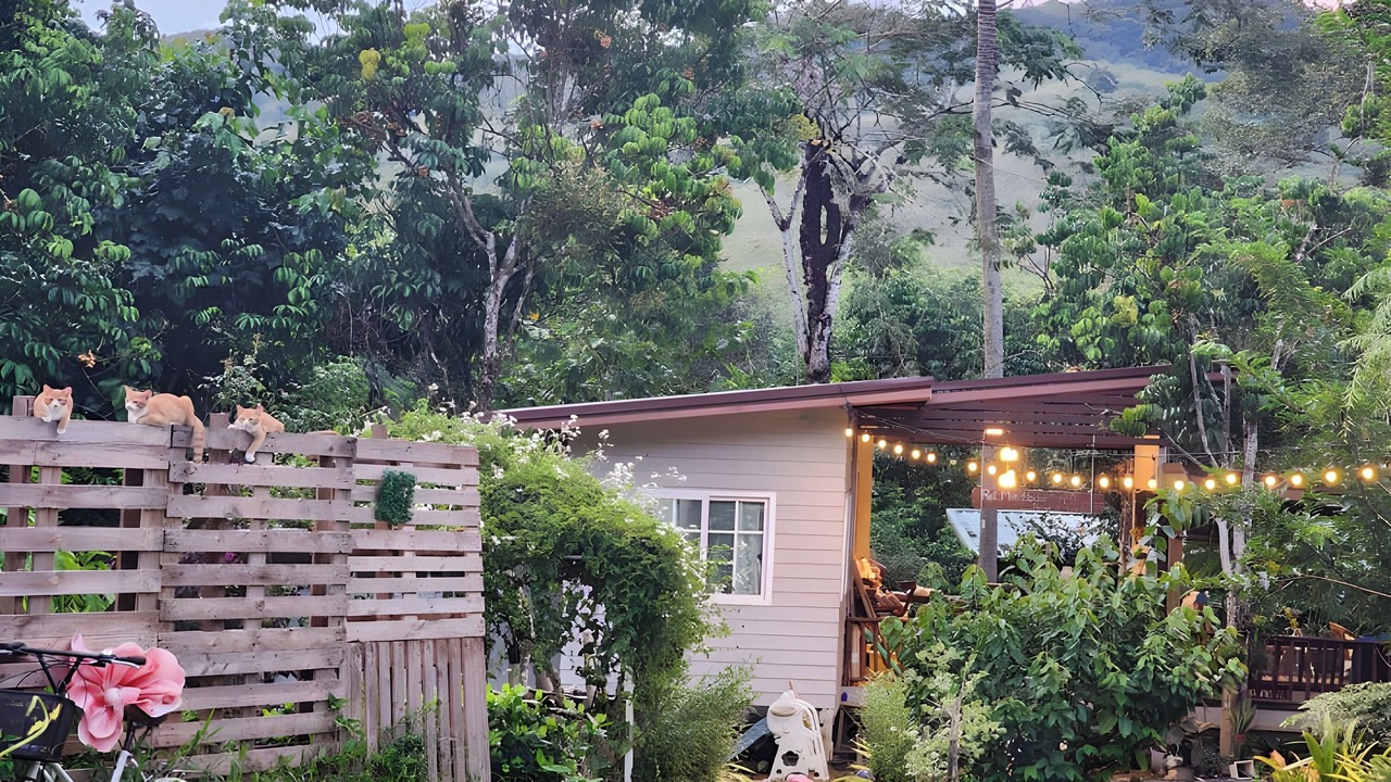 Photo of Outdoor in Hat Yai