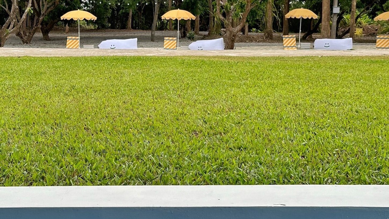 Photo of Outdoor in San Pa Thong