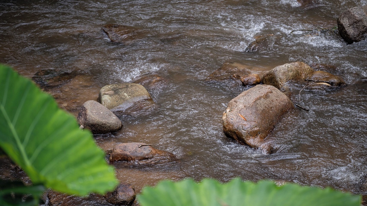 Photo of Outdoor in Mae On