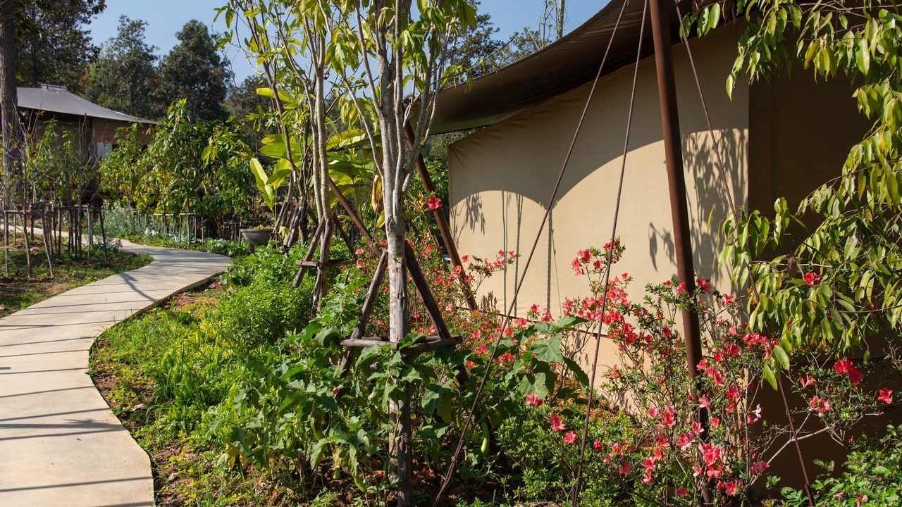 Photo of Outdoor in Mae Wang