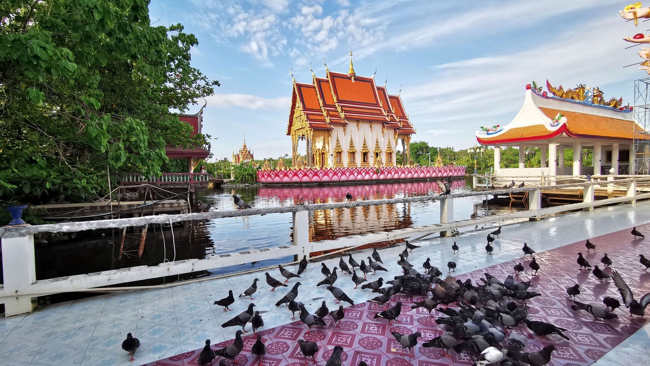 Photo of Others in Choeng Mon