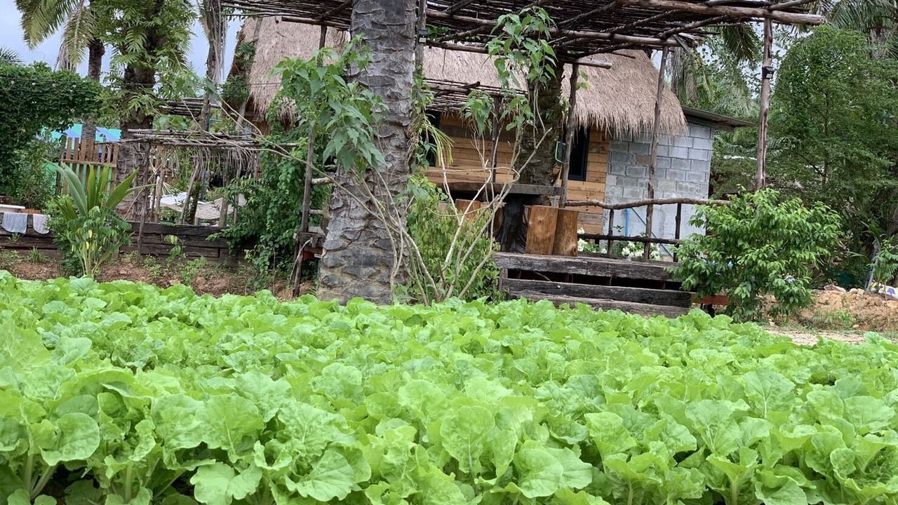 Photo of Outdoor in Huai Nam Khao