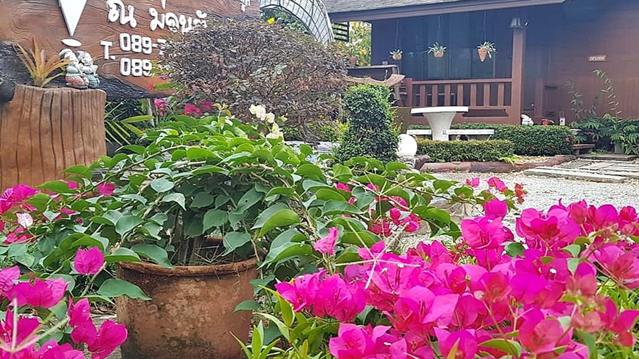 Photo of Outdoor in Chiang Rai
