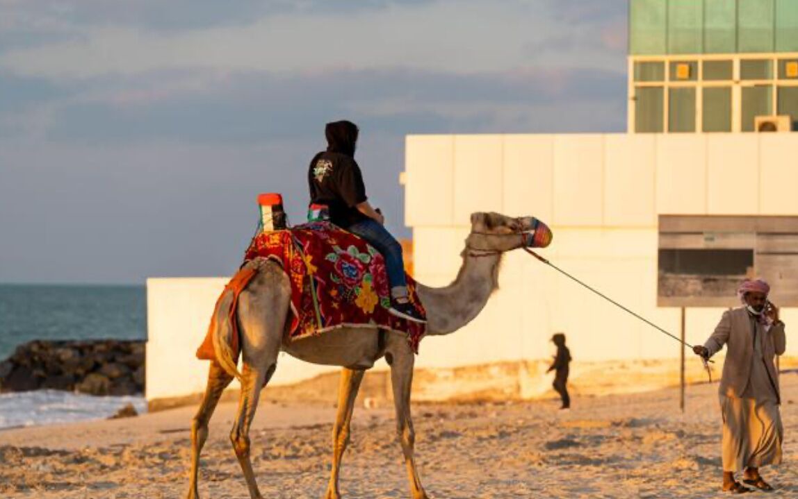 Photo of Others in Ajman