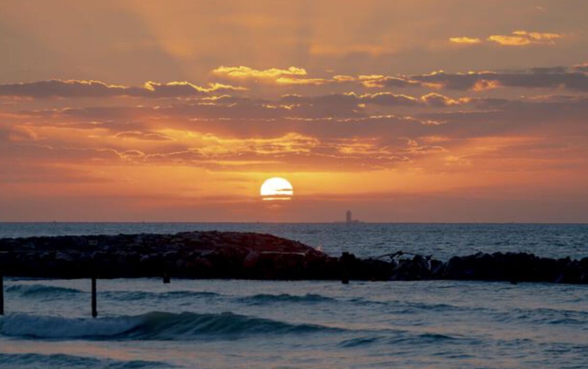 Photo of Others in Ajman