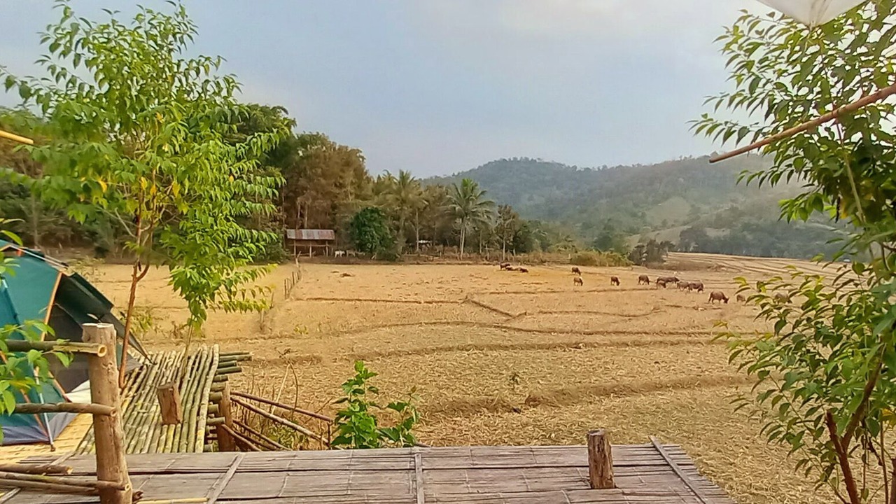 Photo of Bedroom in Chiang Dao