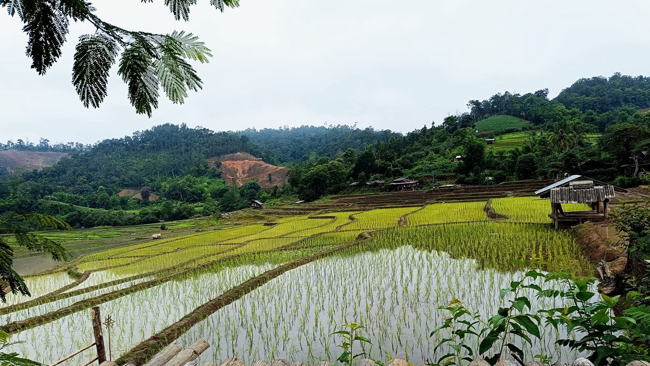Photo of Bedroom in Chiang Dao
