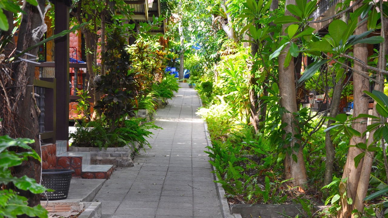 Photo of Outdoor in Haad Rin