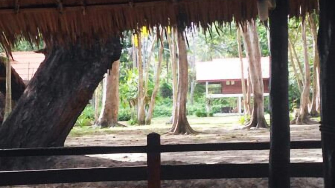 Photo of Outdoor in Nuea Khlong
