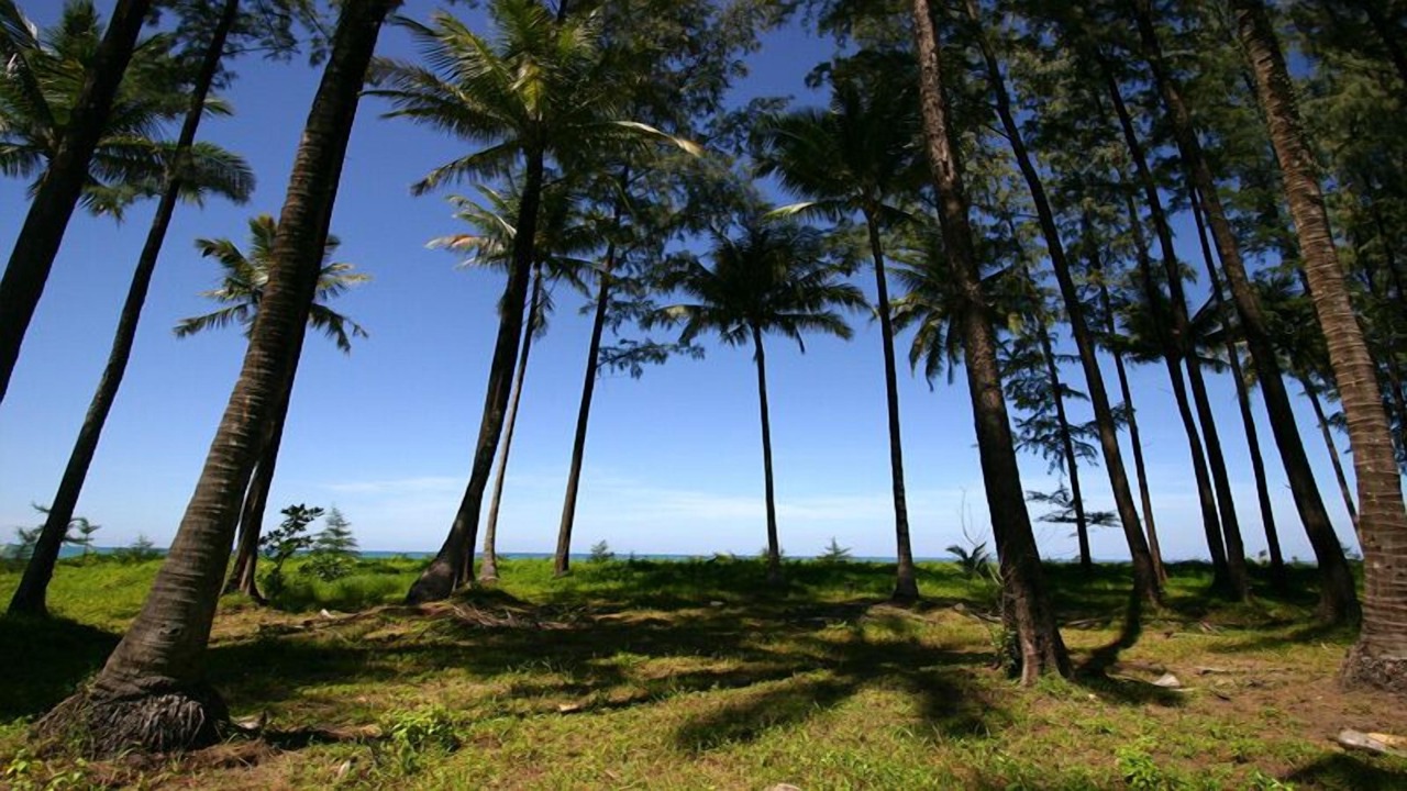 Photo of Outdoor in Khuk Khak Beach