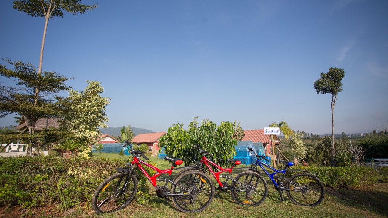 Photo of Outdoor in Wiang Pa Pao