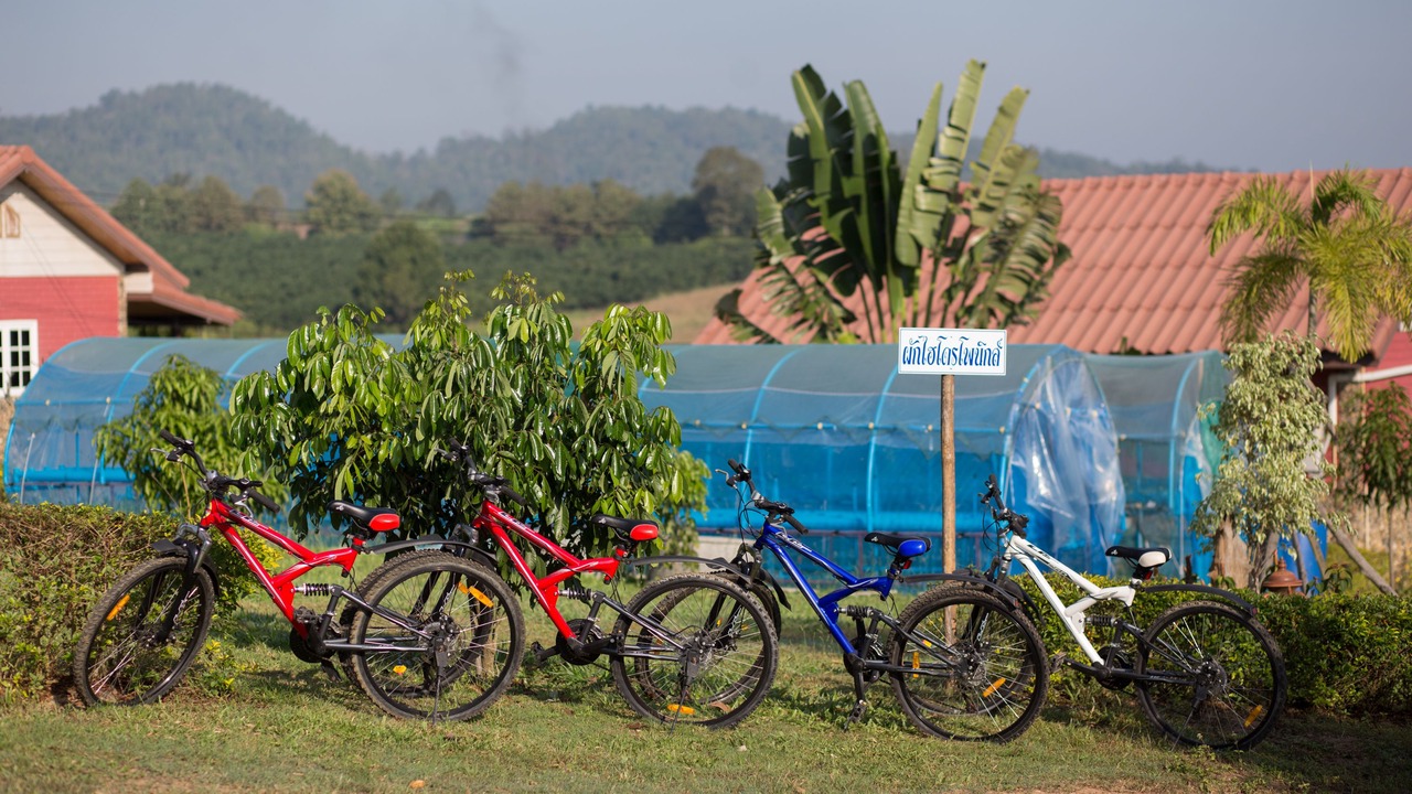 Photo of Outdoor in Wiang Pa Pao