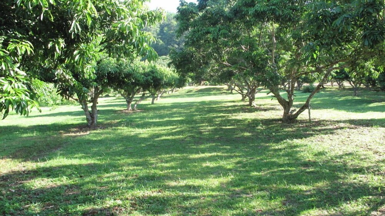 Photo of Outdoor in Hang Dong