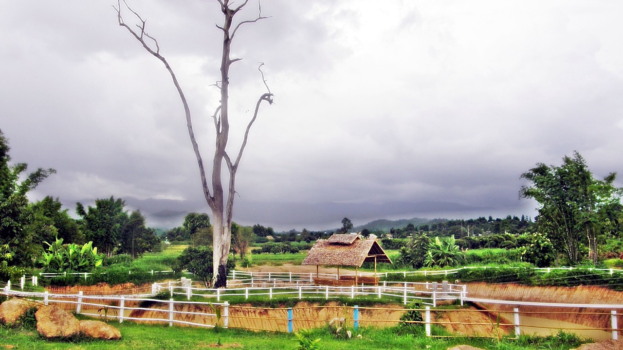 Photo of Others in Pai