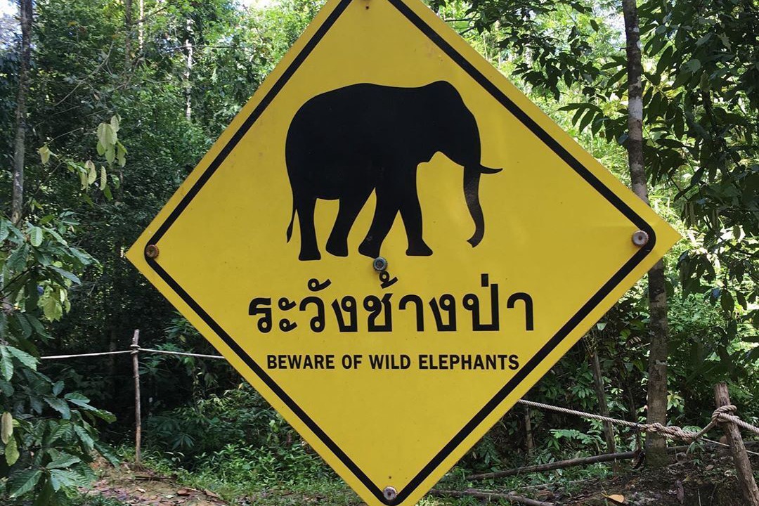 Photo of Outdoor in Ban Ta Khun