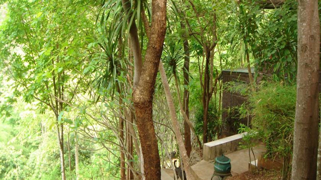 Photo of Outdoor in Tha Sao