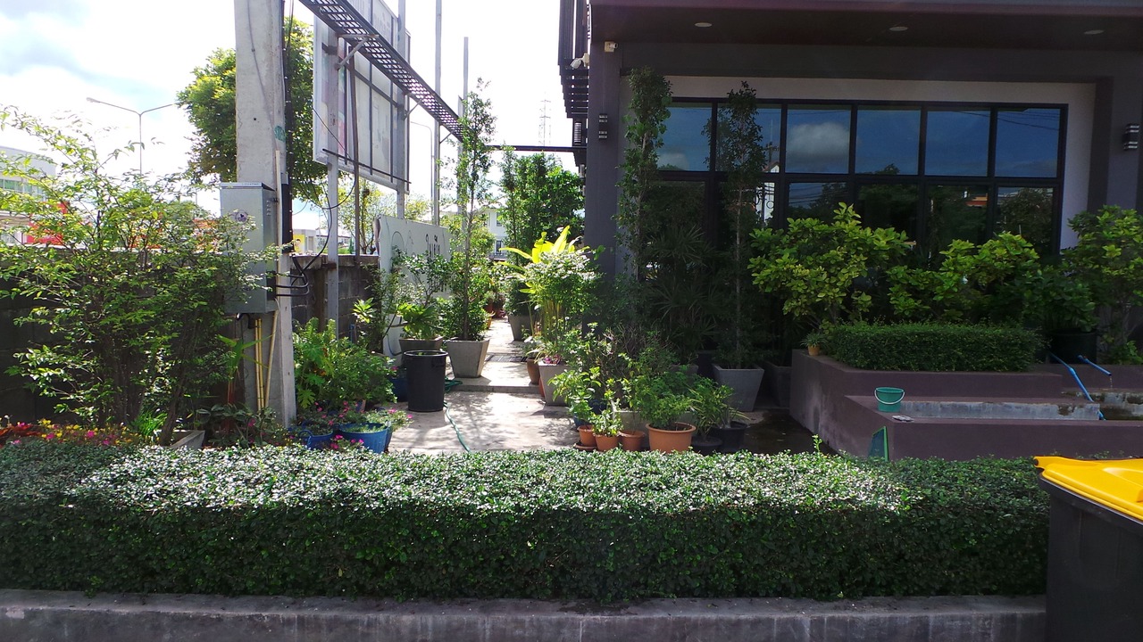 Photo of Outdoor in Mukdahan