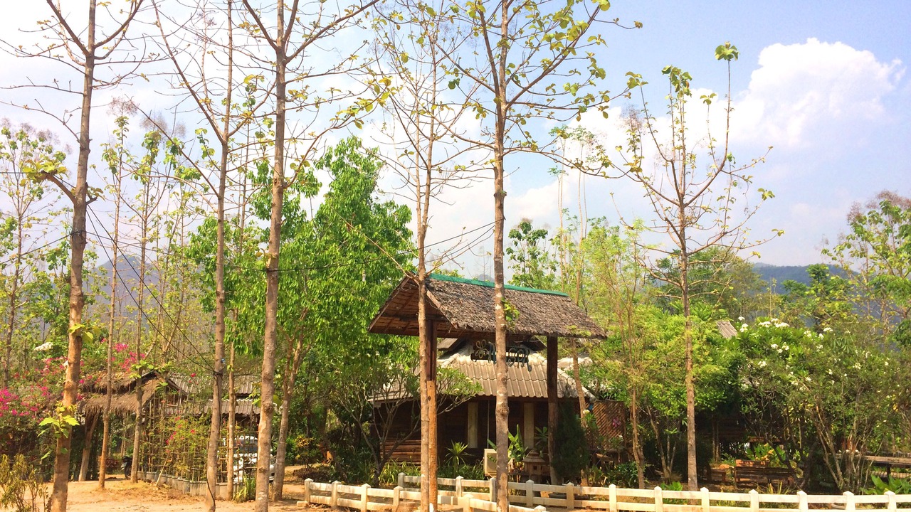 Photo of Outdoor in Pai