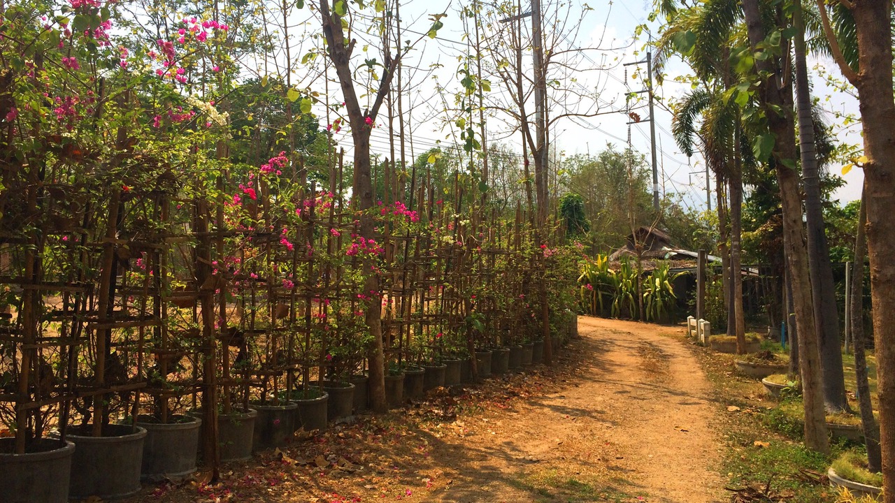 Photo of Outdoor in Pai