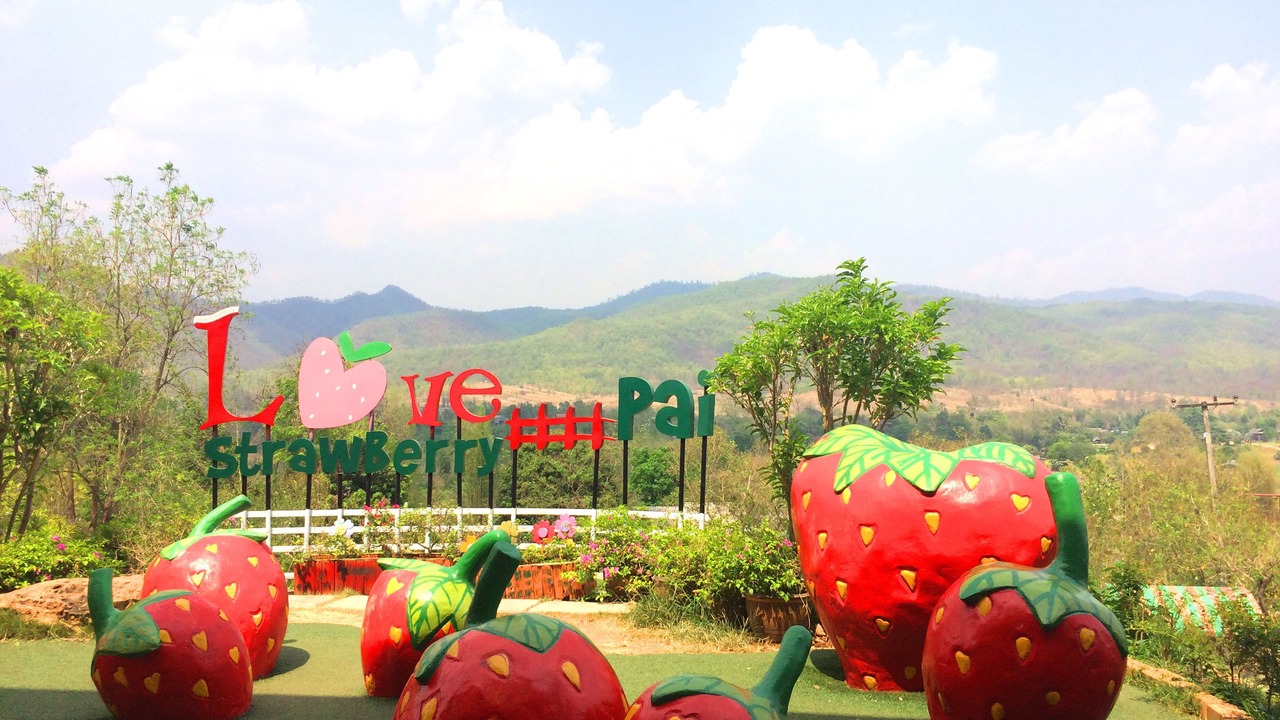 Photo of Others in Pai