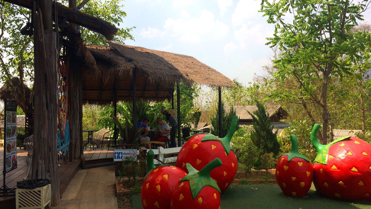 Photo of Others in Pai