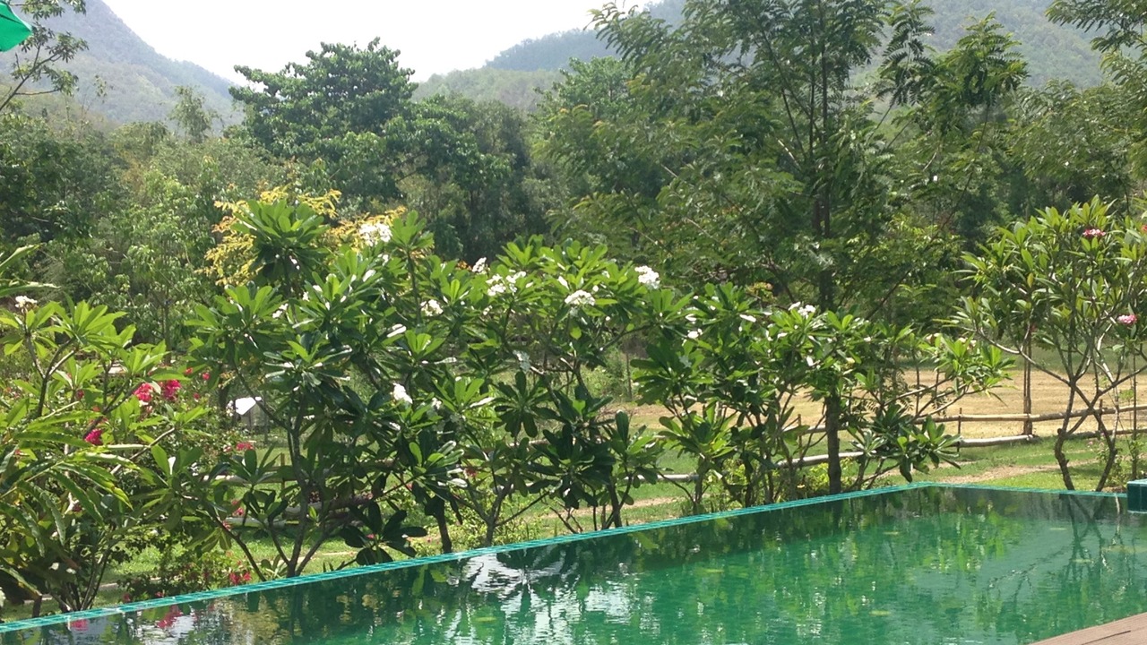 Photo of Outdoor in Pai