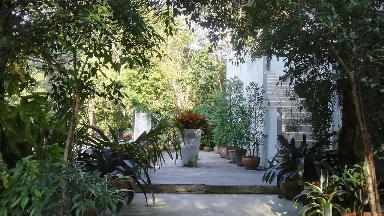 Photo of Outdoor in Phongprasan