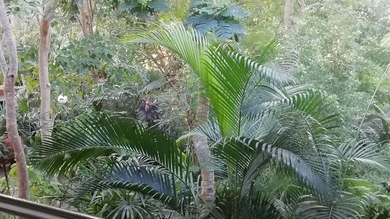 Photo of Outdoor in Phongprasan