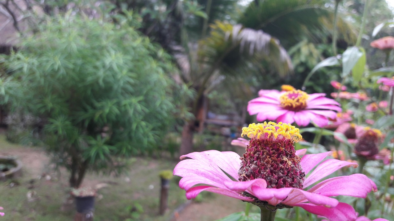 Photo of Outdoor in Pai